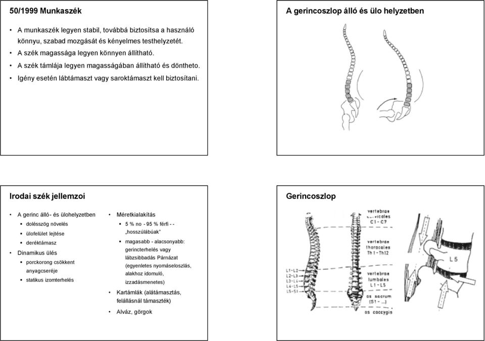 Irodai szék jellemzoi Gerincoszlop A gerinc álló- és ülohelyzetben dolésszög növelés ülofelület lejtése deréktámasz Dinamikus ülés porckorong csökkent anyagcseréje statikus izomterhelés