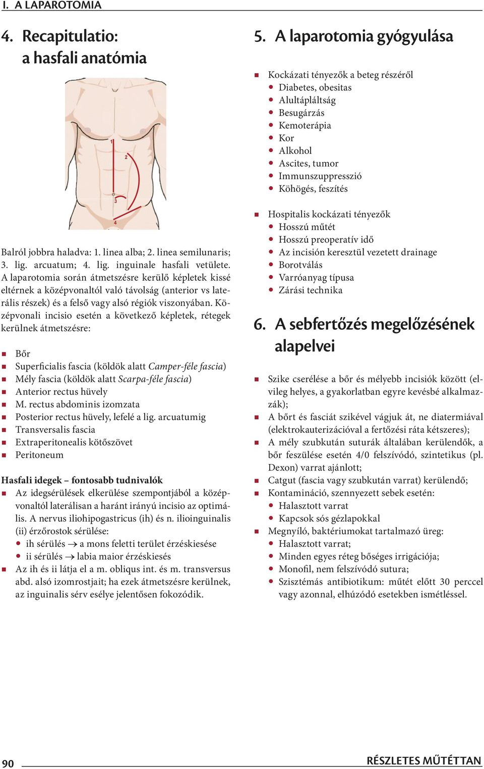 Középvonali incisio esetén a következő képletek, rétegek kerülnek átmetszésre: Bőr Superficialis fascia (köldök alatt Camper-féle fascia) Mély fascia (köldök alatt Scarpa-féle fascia) Anterior rectus