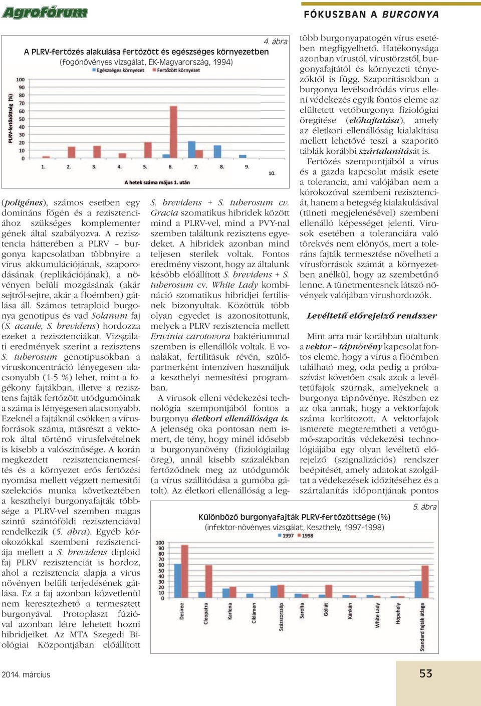 A rezisztencia hátterében a PLRV burgonya kapcsolatban többnyire a vírus akkumulációjának, szaporodásának (replikációjának), a növényen belüli mozgásának (akár sejtről-sejtre, akár a floémben)