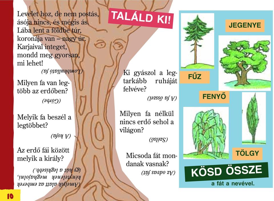 Ki gyászol a legtarkább ruháját felvéve? (A fa õsszel) FÛZ FENYÕ JEGENYE 10 Melyik fa beszél a legtöbbet?