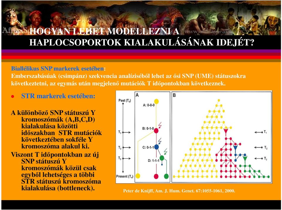 megjelenő mutációk T időpontokban következnek.