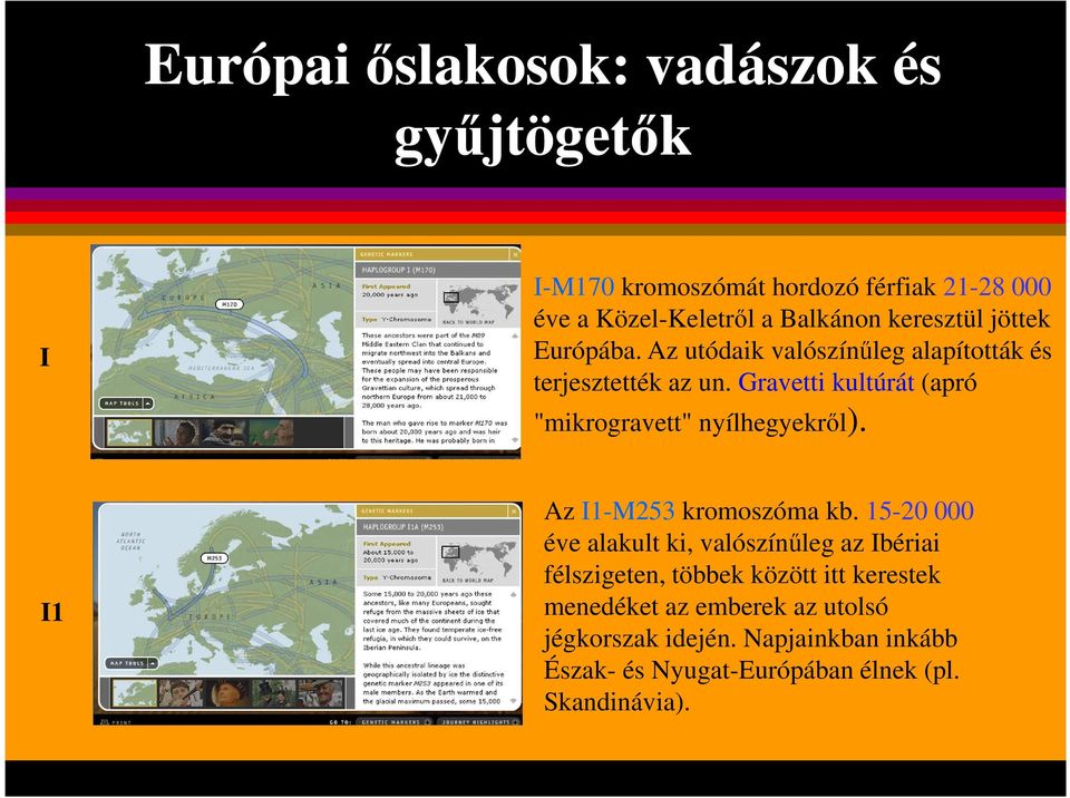 Gravetti kultúrát (apró "mikrogravett" nyílhegyekről). I1 Az I1-M253 kromoszóma kb.