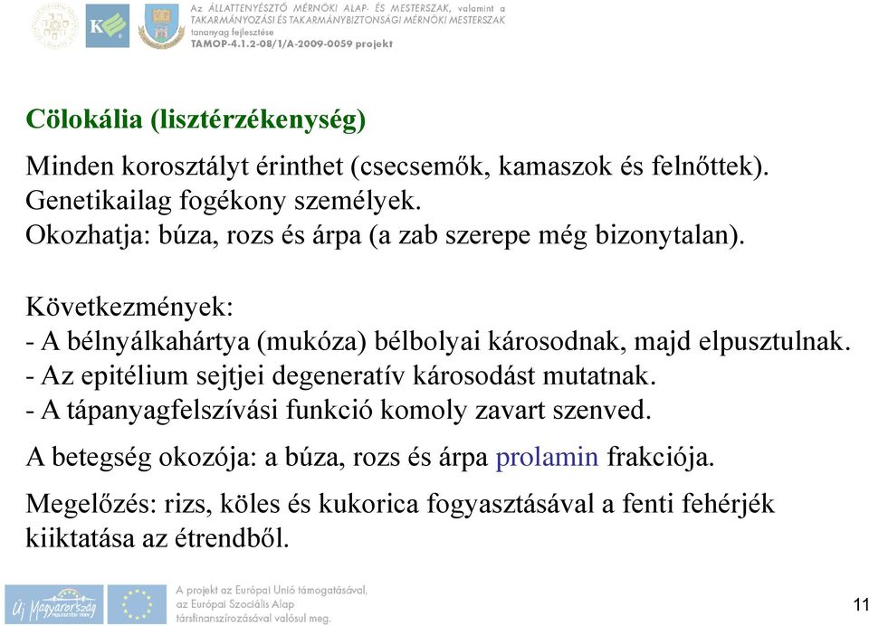 Következmények: - A bélnyálkahártya (mukóza) bélbolyai károsodnak, majd elpusztulnak.