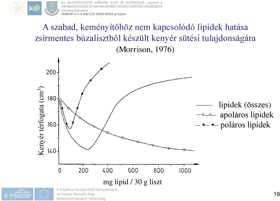 kenyér sütési tulajdonságára (Morrison, 1976) lipidek