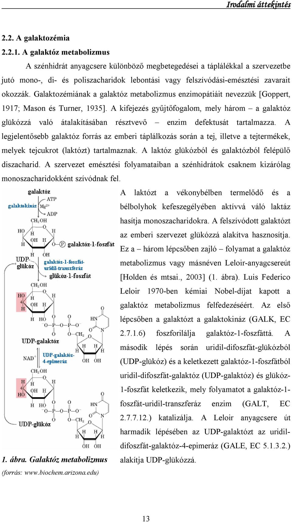 Galaktozémiának a galaktóz metabolizmus enzimopátiáit nevezzük [Goppert, 1917; Mason és Turner, 1935].