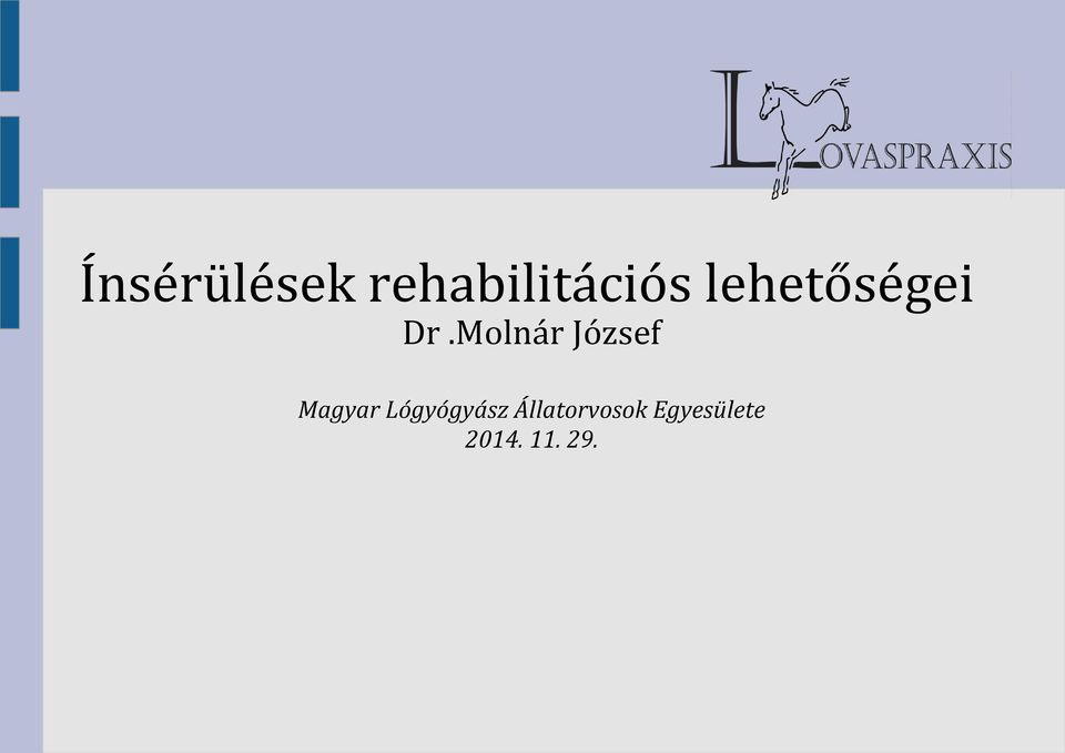 Molnár József Magyar