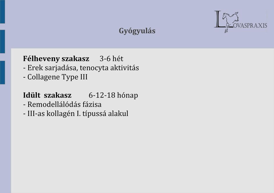 Type III Idült szakasz 6-12-18 hónap -