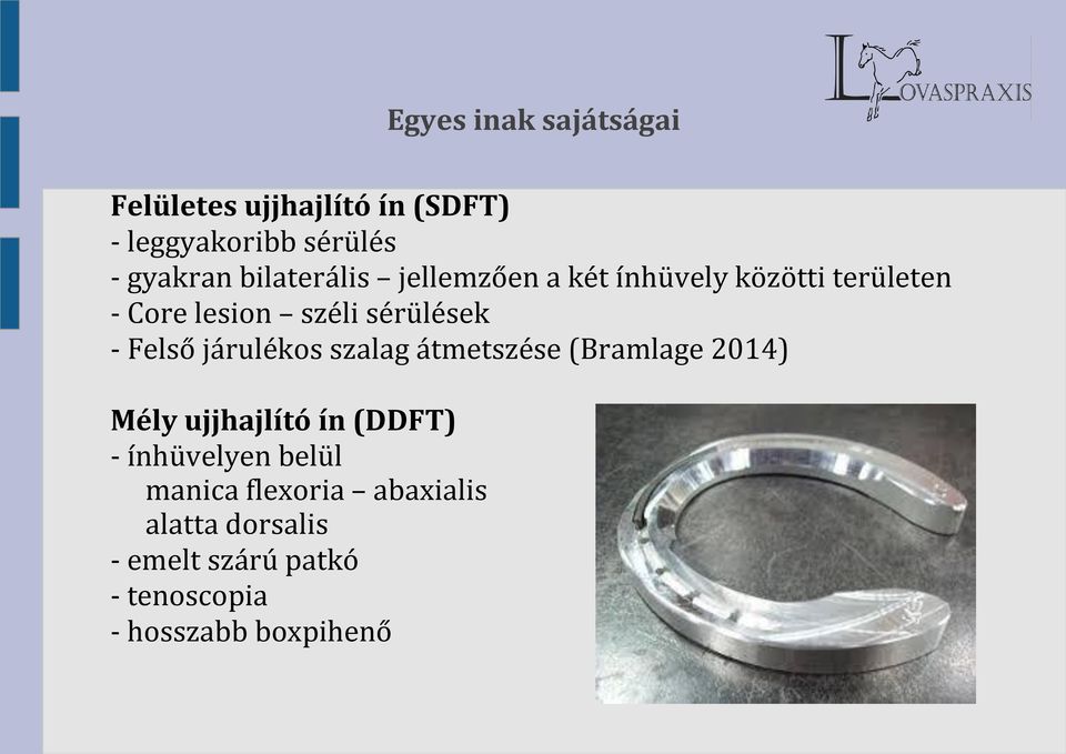 Felső járulékos szalag átmetszése (Bramlage 2014) Mély ujjhajlító ín (DDFT) - ínhüvelyen