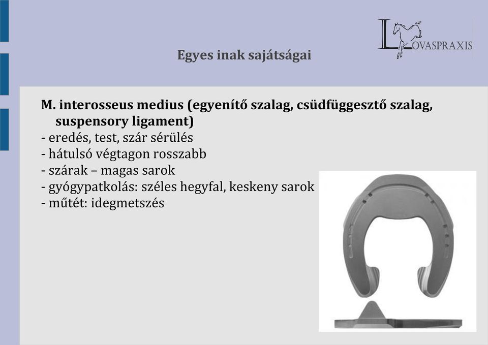 suspensory ligament) - eredés, test, szár sérülés - hátulsó