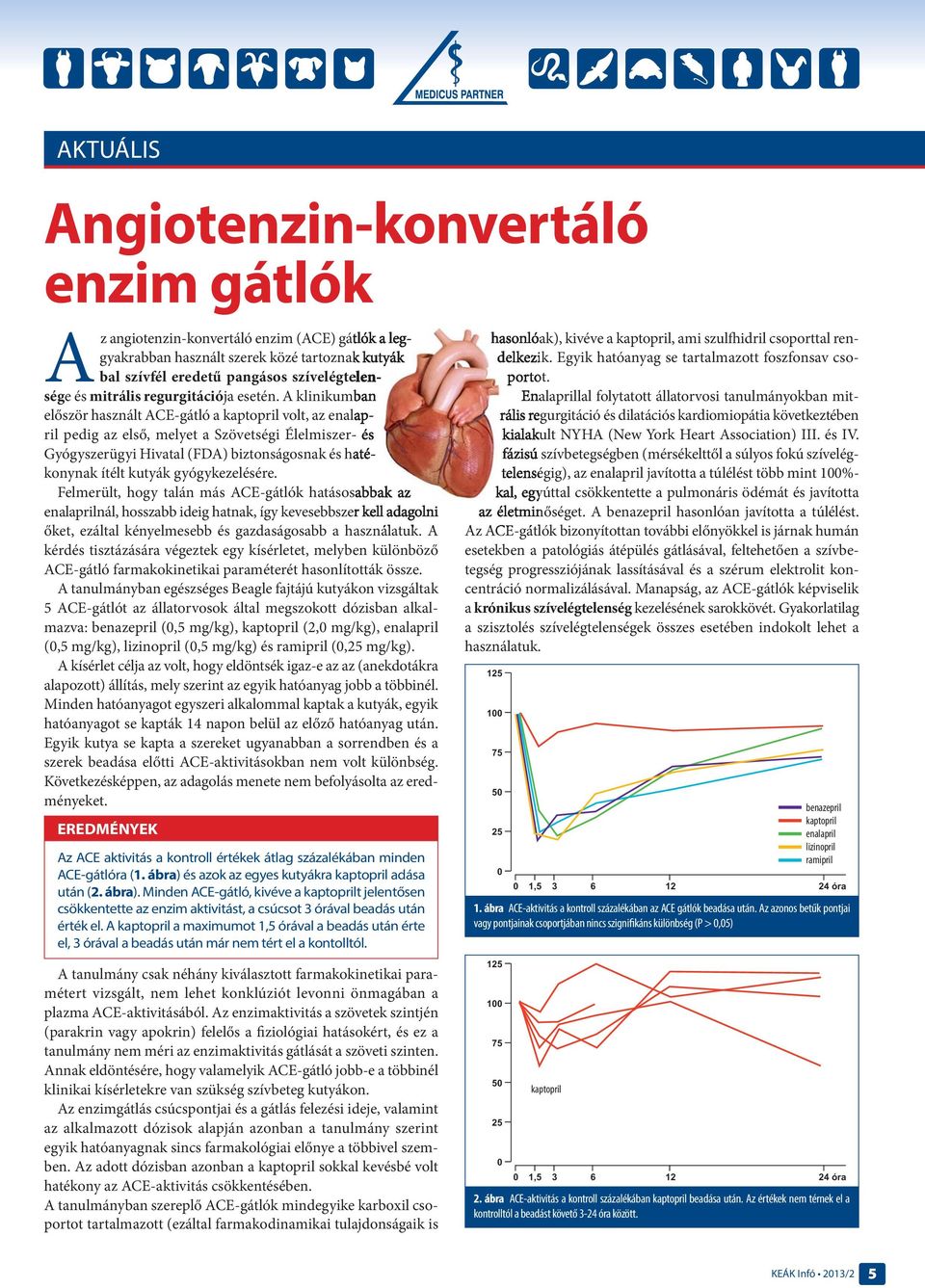 A klinikumban először használt ACE-gátló a kaptopril volt, az enalapril pedig az első, melyet a Szövetségi Élelmiszer- és Gyógyszerügyi Hivatal (FDA) biztonságosnak és hatékonynak ítélt kutyák