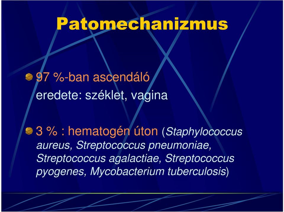 (Staphylococcus aureus, Streptococcus pneumoniae,