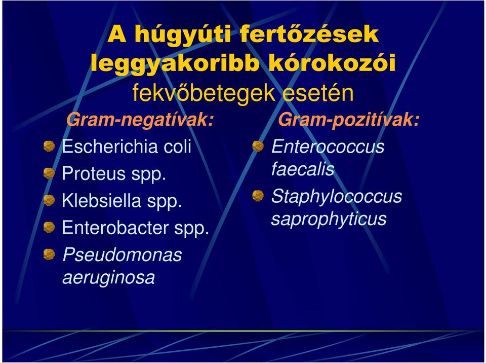 Klebsiella spp. Enterobacter spp.