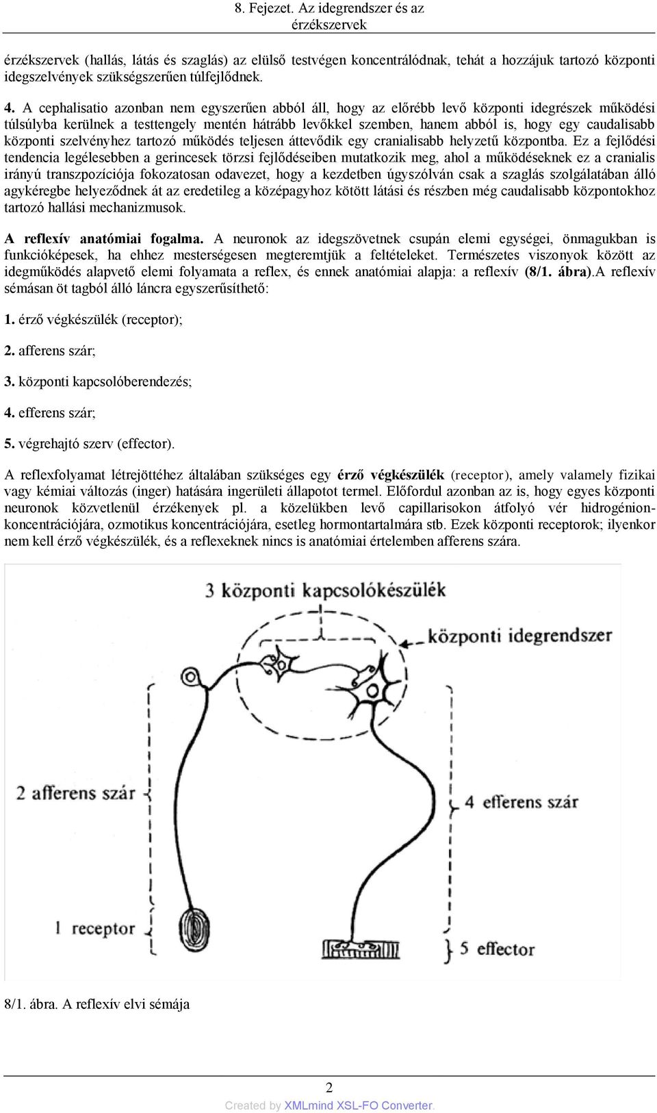 caudalisabb központi szelvényhez tartozó működés teljesen áttevődik egy cranialisabb helyzetű központba.