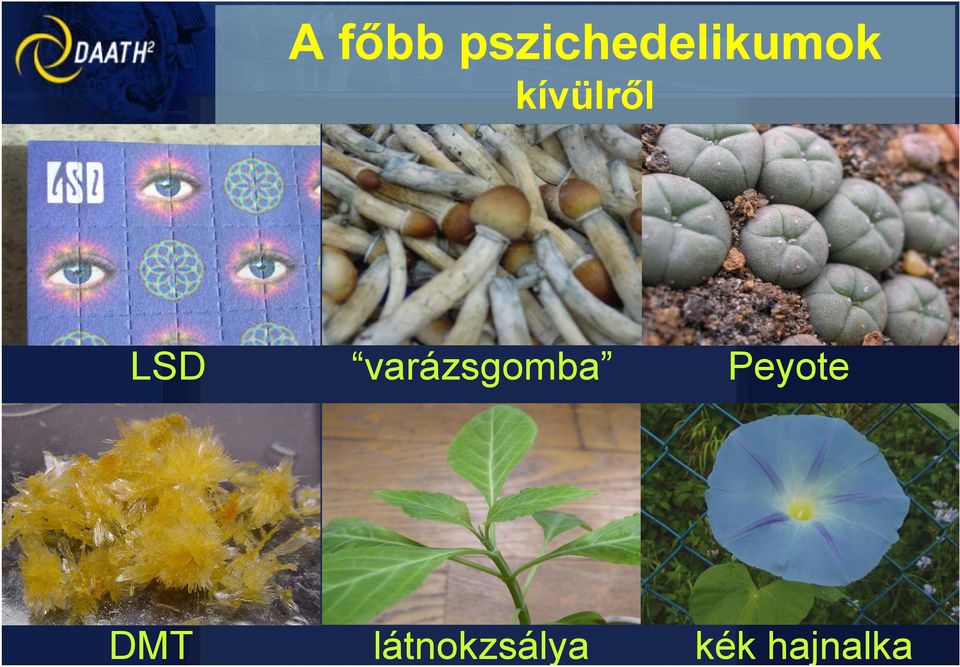 pszichedelikumok