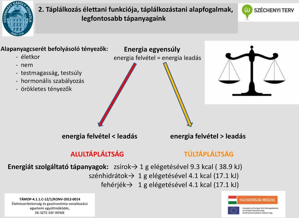 energia leadás energia felvétel leadás energia felvétel leadás ALULTÁPLÁLTSÁG TÚLTÁPLÁLTSÁG Energiát szolgáltató tápanyagok: