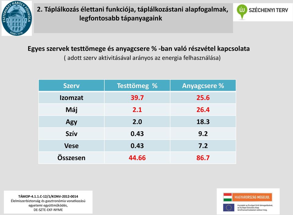 adott szerv aktivitásával arányos az energia felhasználása) Szerv Testtömeg %