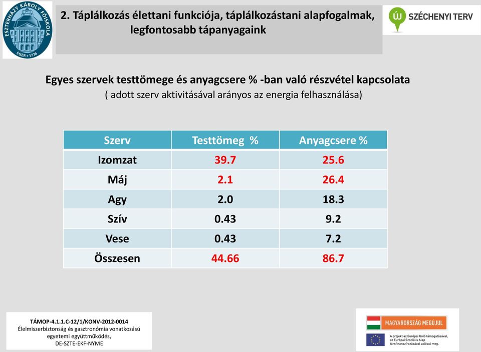 adott szerv aktivitásával arányos az energia felhasználása) Szerv Testtömeg %