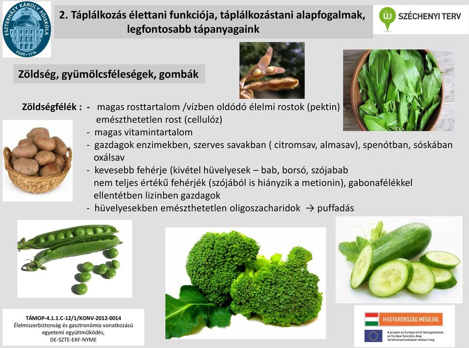 savakban ( citromsav, almasav), spenótban, sóskában oxálsav - kevesebb fehérje (kivétel hüvelyesek bab, borsó, szójabab nem teljes értékű