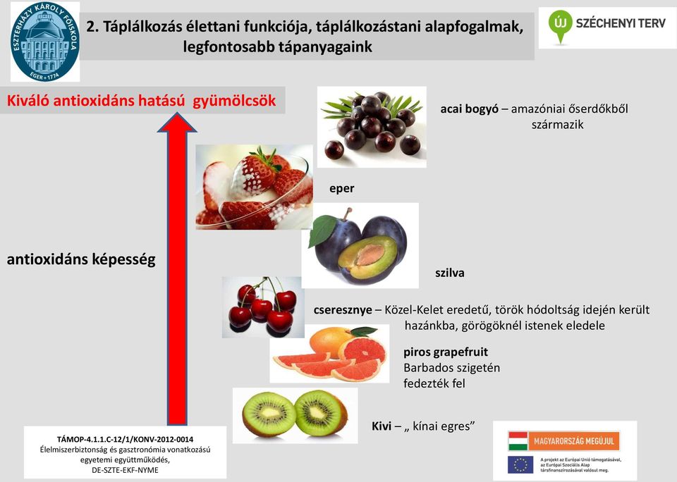 antioxidáns képesség szilva cseresznye Közel-Kelet eredetű, török hódoltság idején került