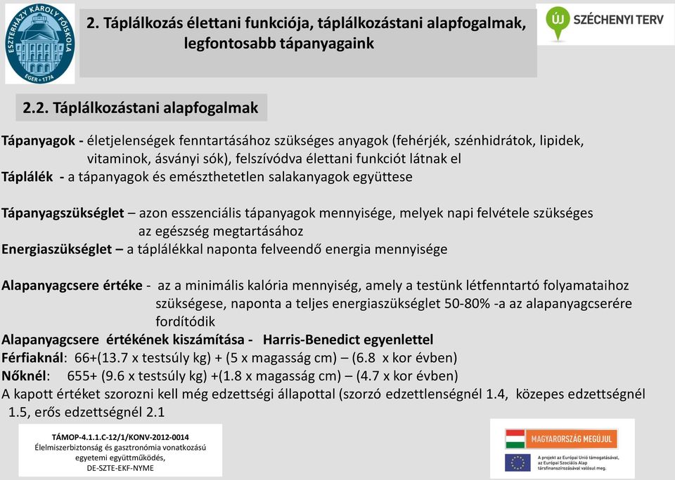 tápanyagok mennyisége, melyek napi felvétele szükséges az egészség megtartásához Energiaszükséglet a táplálékkal naponta felveendő energia mennyisége Alapanyagcsere értéke - az a minimális kalória