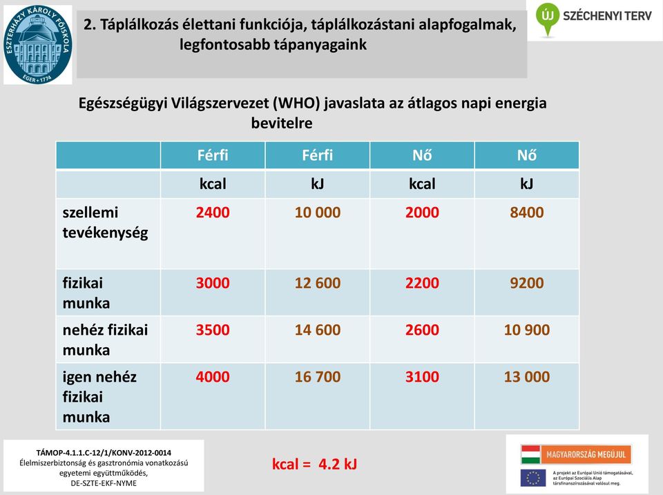 tevékenység Férfi Férfi Nő Nő kcal kj kcal kj 2400 10 000 2000 8400 fizikai munka nehéz fizikai