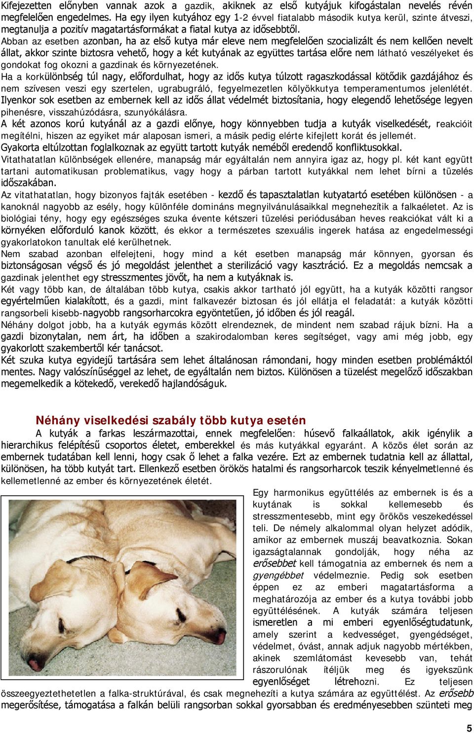 eakcióit megítélni, hiszen az egyiket már alaposan ismeri, a másik pedig elérte kifejlett korát és jellemét. Vitathatatlan különbségek ellenére, manapság már egyáltalán nem annyira igaz az, hogy pl.