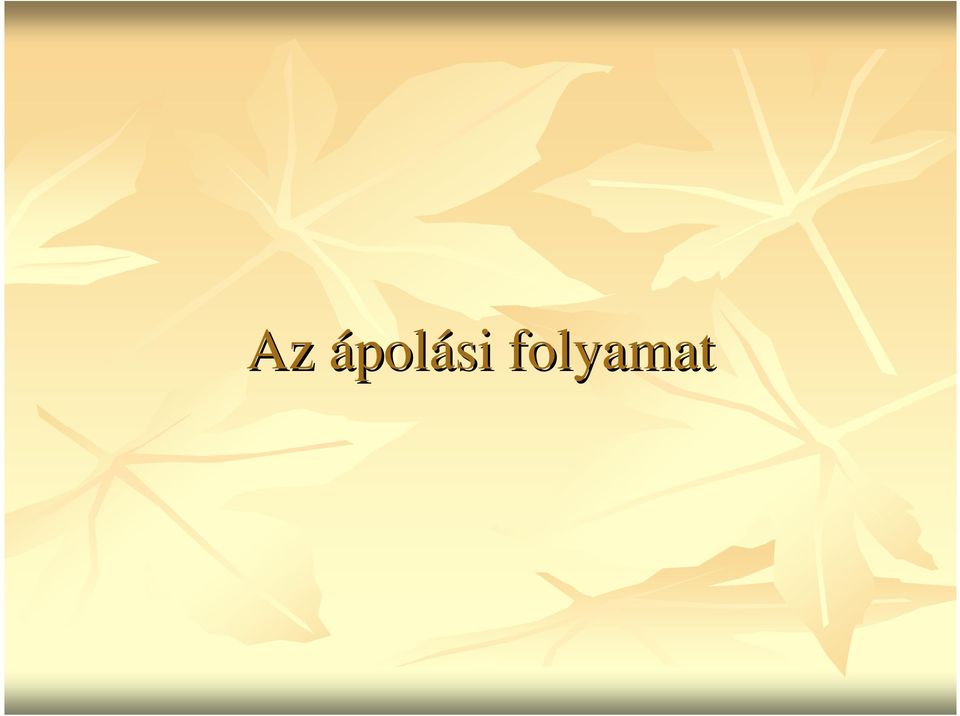 folyamat