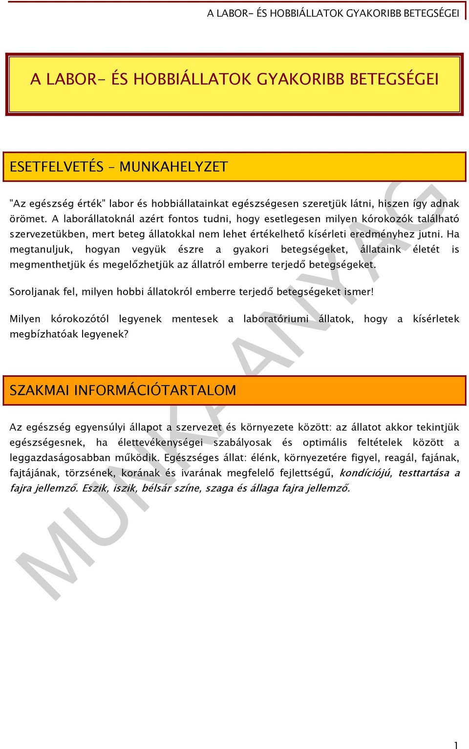 Ha megtanuljuk, hogyan vegyük észre a gyakori betegségeket, állataink életét is megmenthetjük és megelőzhetjük az állatról emberre terjedő betegségeket.