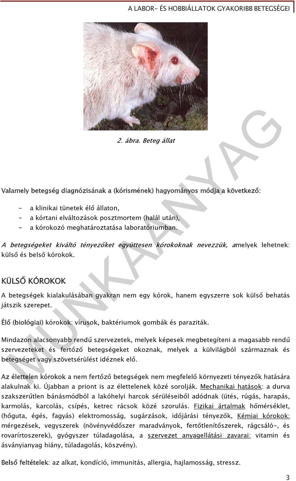 meghatároztatása laboratóriumban. A betegségeket kiváltó tényezőket együttesen kórokoknak nevezzük, amelyek lehetnek: külső és belső kórokok.