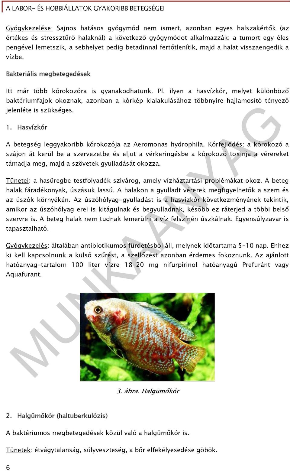 ilyen a hasvízkór, melyet különböző baktériumfajok okoznak, azonban a kórkép kialakulásához többnyire hajlamosító tényező jelenléte is szükséges. 1.