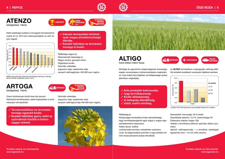 ) ARTOGA középérésű hibrid Üzemi körülmények között évek óta bizonyít. Különböző termőhelyeken, eltérő évjáratokban is eredményesen termeszthető.
