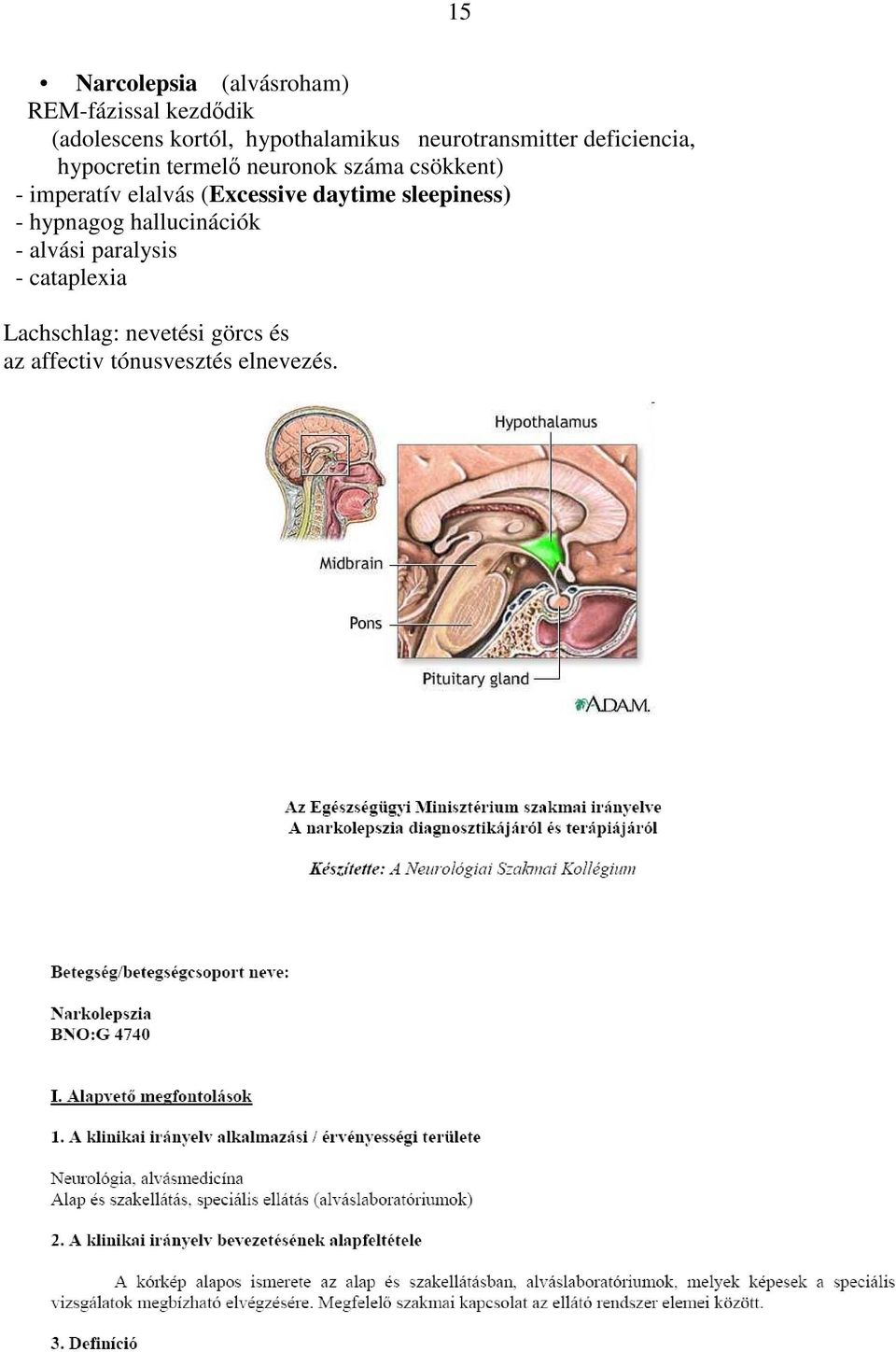 csökkent) - imperatív elalvás (Excessive daytime sleepiness) - hypnagog