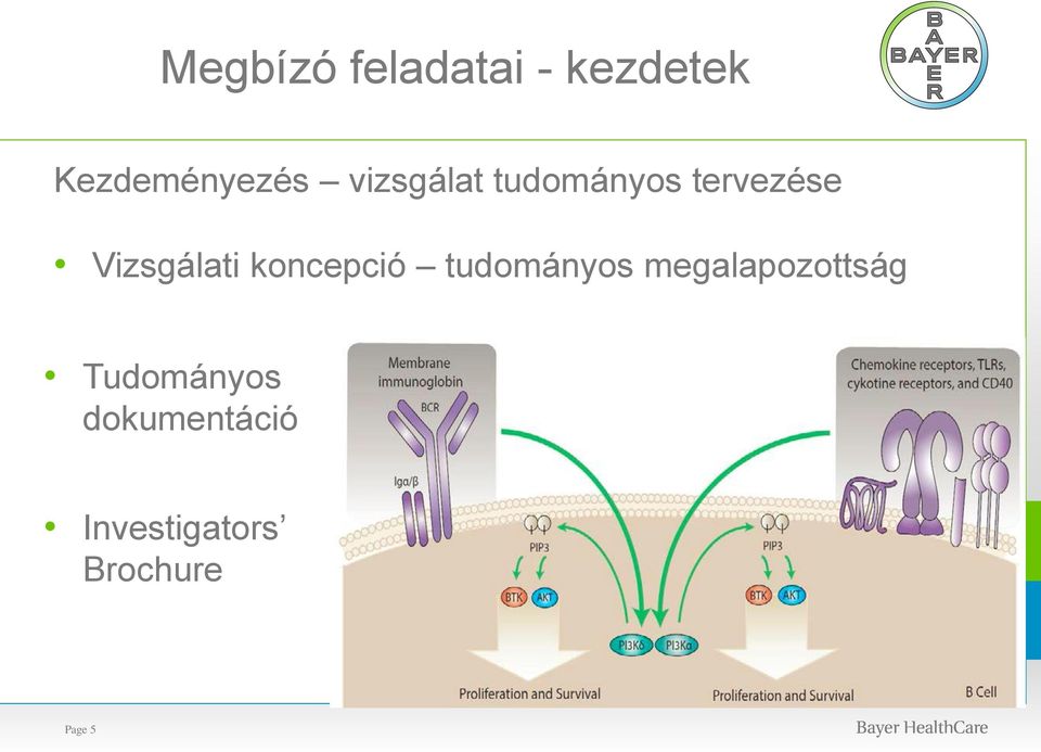 koncepció tudományos megalapozottság