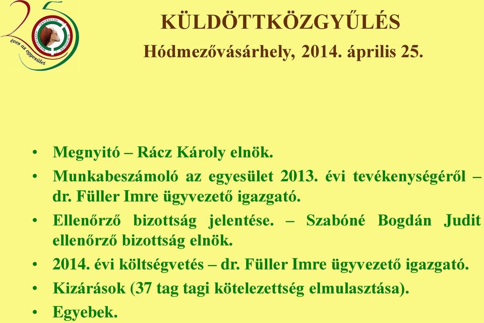 Ellenőrző bizottság jelentése. Szabóné Bogdán Judit ellenőrző bizottság elnök. 2014.