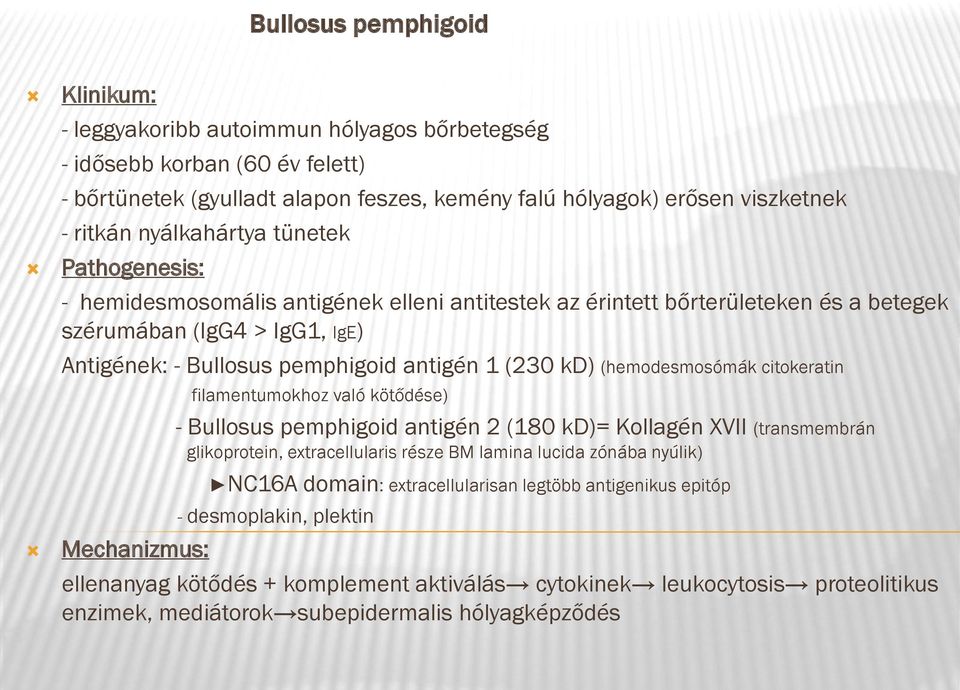 kd) (hemodesmosómák citokeratin filamentumokhoz való kötődése) - Bullosus pemphigoid antigén 2 (180 kd)= Kollagén XVII (transmembrán glikoprotein, extracellularis része BM lamina lucida zónába