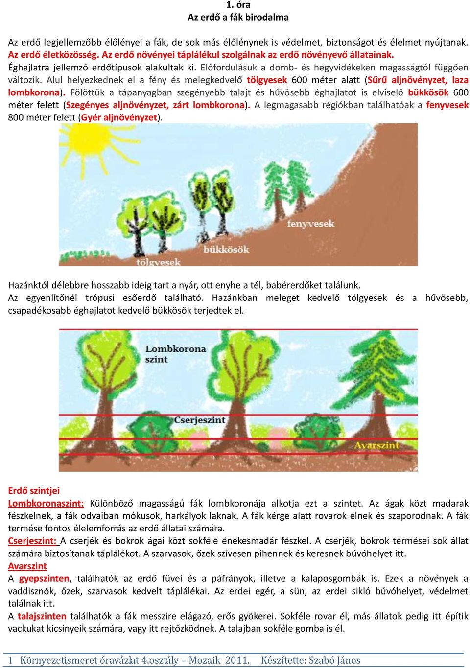 1. óra Az erdő a fák birodalma - PDF Free Download