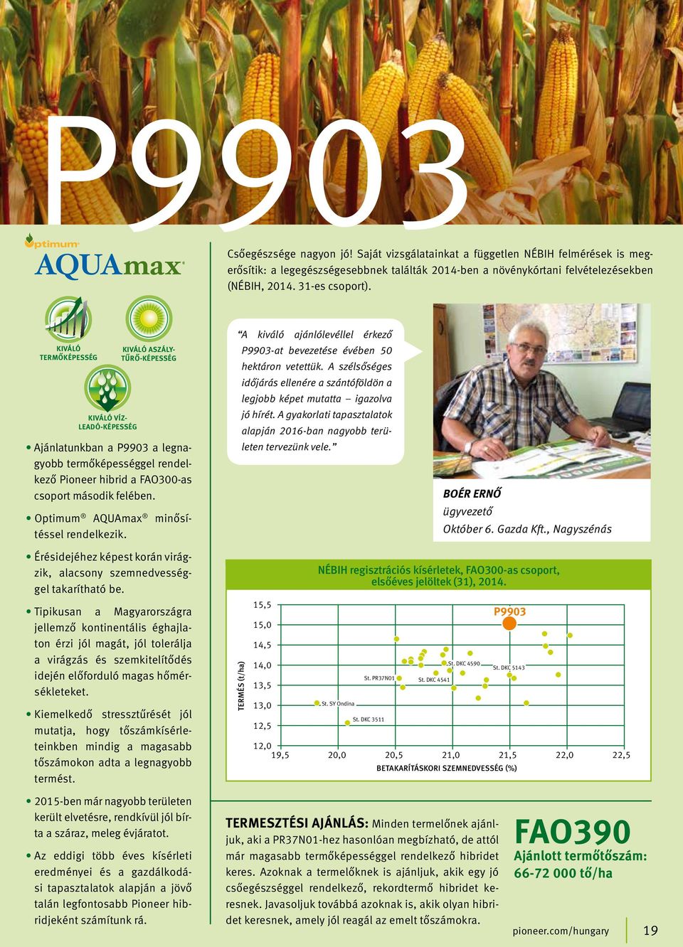 Optimum AQUAmax minősítéssel rendelkezik. A kiváló ajánlólevéllel érkező P9903-at bevezetése évében 50 hektáron vetettük.