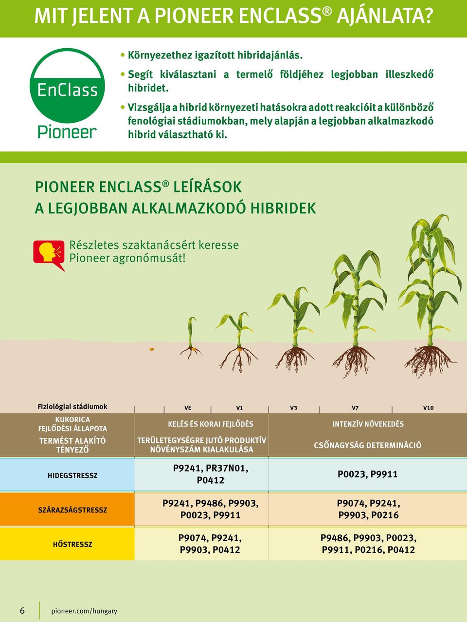 PIONEER ENCLASS LEÍRÁSOK A LEGJOBBAN ALKALMAZKODÓ HIBRIDEK Részletes szaktanácsért keresse Pioneer agronómusát!