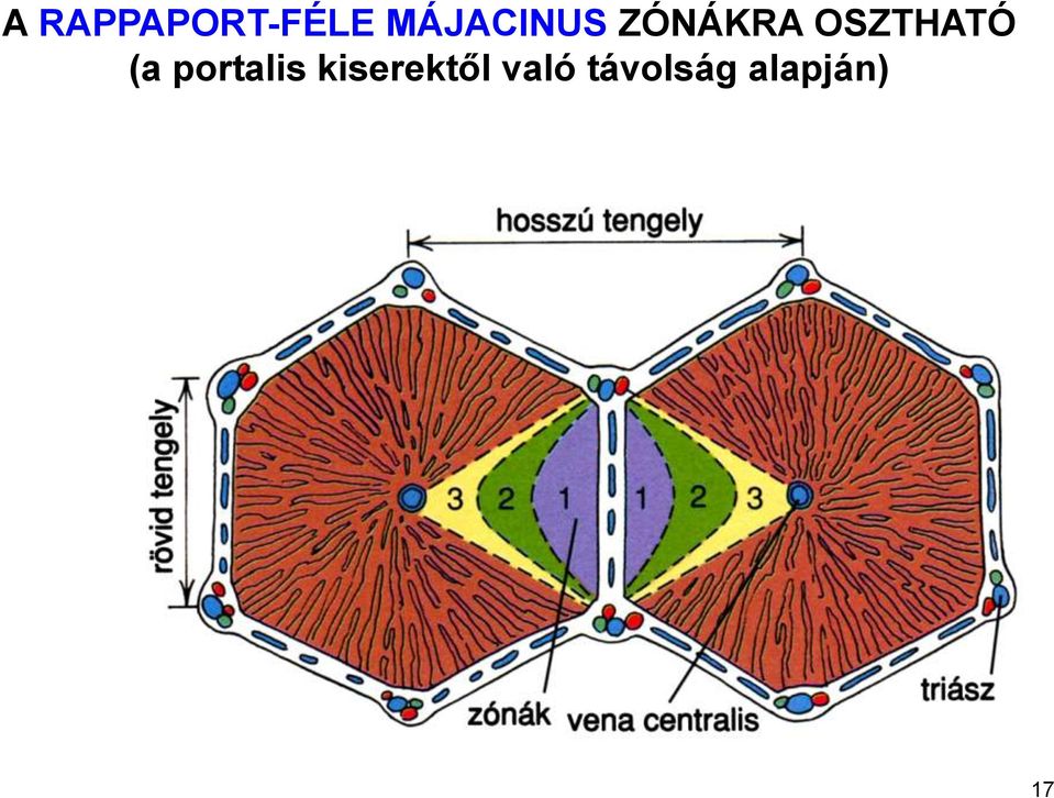 OSZTHATÓ (a portalis