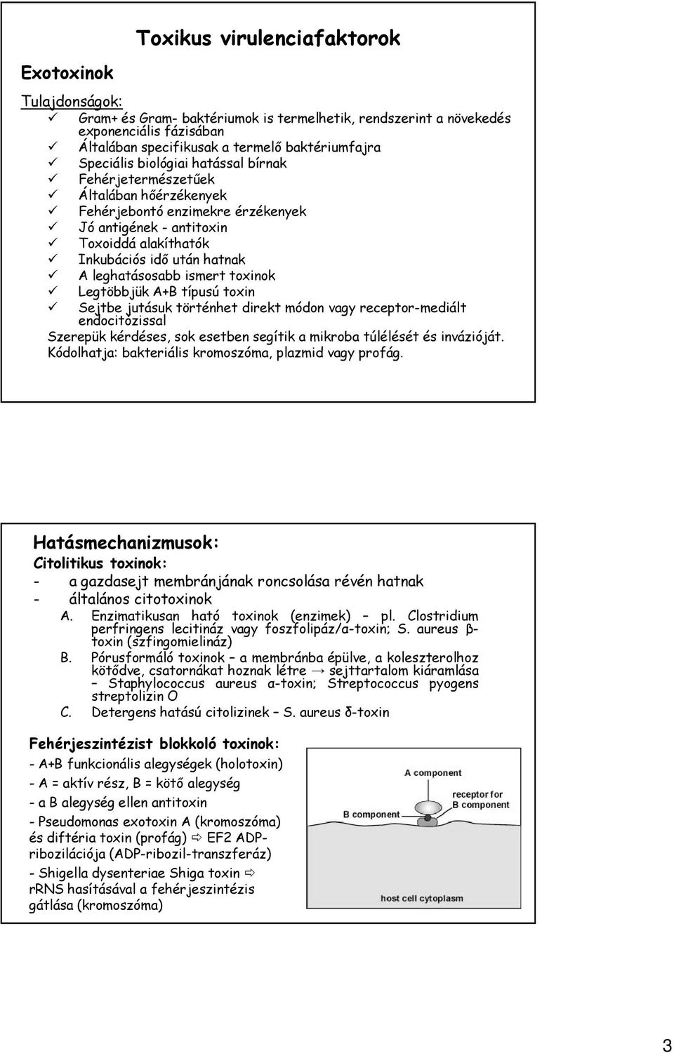 leghatásosabb ismert toxinok Legtöbbjük A+B típusú toxin Sejtbe jutásuk történhet direkt módon vagy receptor-mediált endocitózissal Szerepük kérdéses, sok esetben segítik a mikroba túlélését és