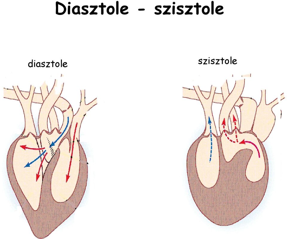 szisztole