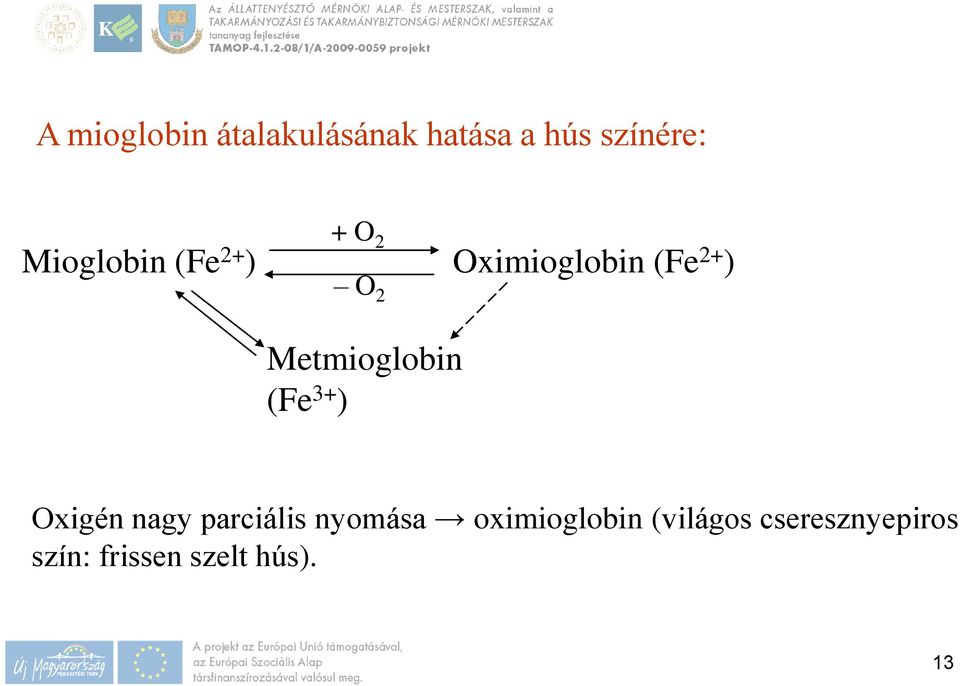 Metmioglobin (Fe 3+ ) Oxigén nagy parciális nyomása