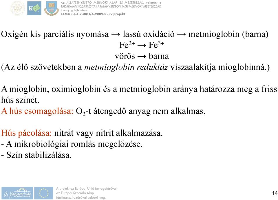 ) A mioglobin, oximioglobin és a metmioglobin aránya határozza meg a friss hús színét.