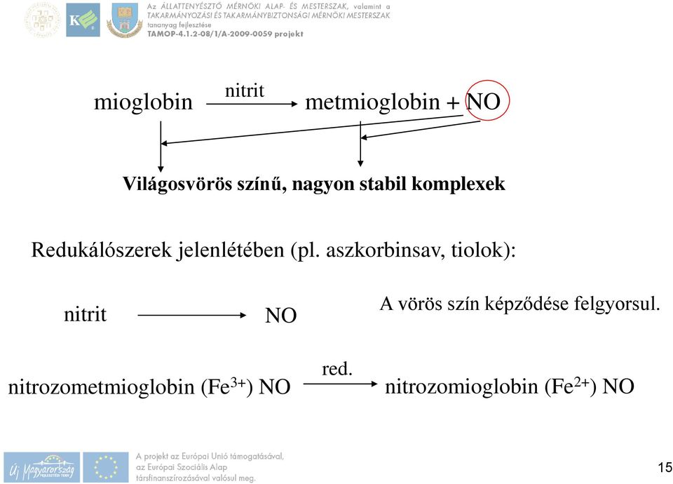aszkorbinsav, tiolok): nitrit NO A vörös szín képződése