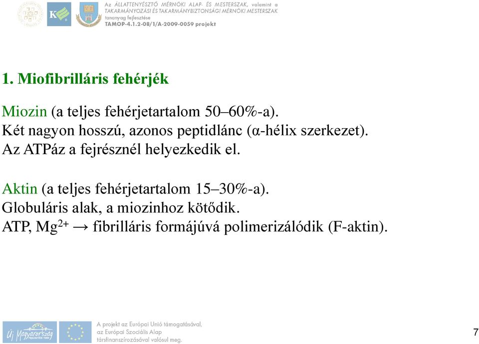 Az ATPáz a fejrésznél helyezkedik el.