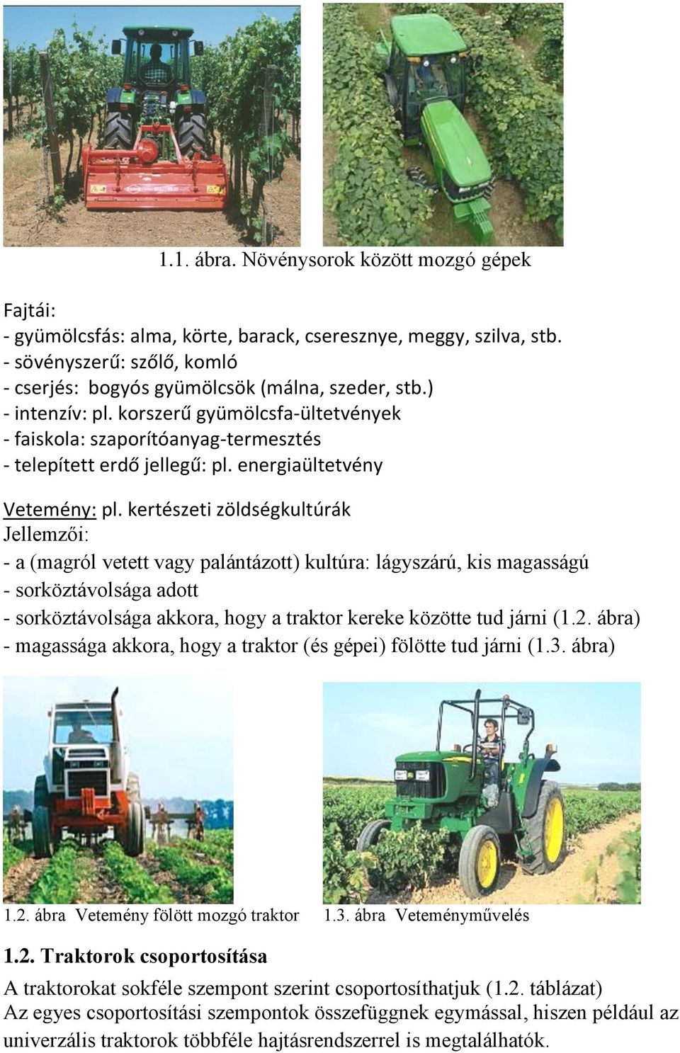 kertészeti zöldségkultúrák Jellemzői: - a (magról vetett vagy palántázott) kultúra: lágyszárú, kis magasságú - sorköztávolsága adott - sorköztávolsága akkora, hogy a traktor kereke közötte tud járni