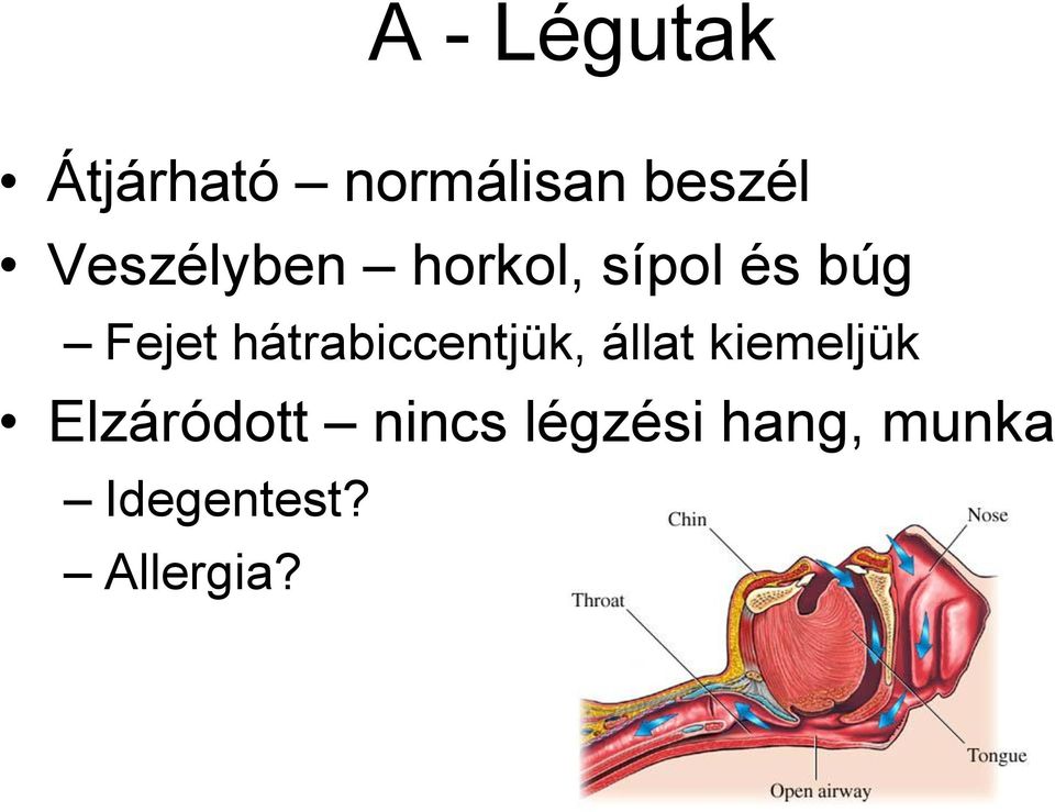 hátrabiccentjük, állat kiemeljük