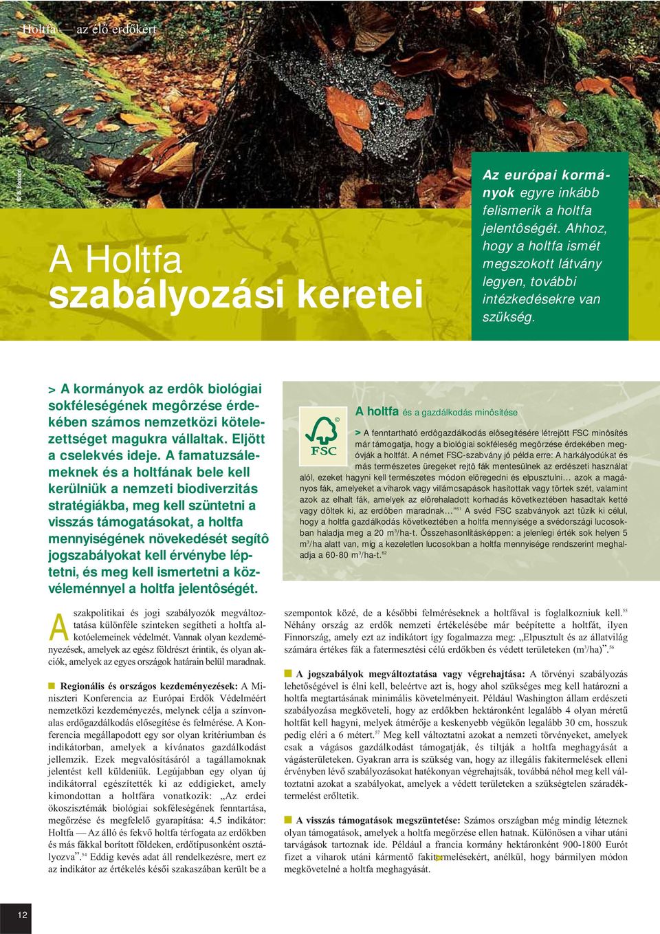 A famatuzsálemeknek és a holtfának bele kell kerülniük a nemzeti biodiverzitás stratégiákba, meg kell szüntetni a visszás támogatásokat, a holtfa mennyiségének növekedését segítô jogszabályokat kell