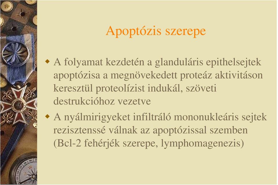 destrukcióhoz vezetve A nyálmirigyeket infiltráló mononukleáris sejtek