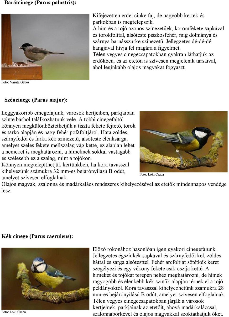 Jellegzetes dé-dé-dé hangjával hívja fel magára a figyelmet.